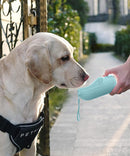 🐾💧 AQUAPAW GO™ Bebedouro Portátil